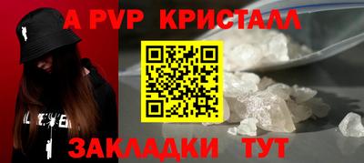 амф Донской