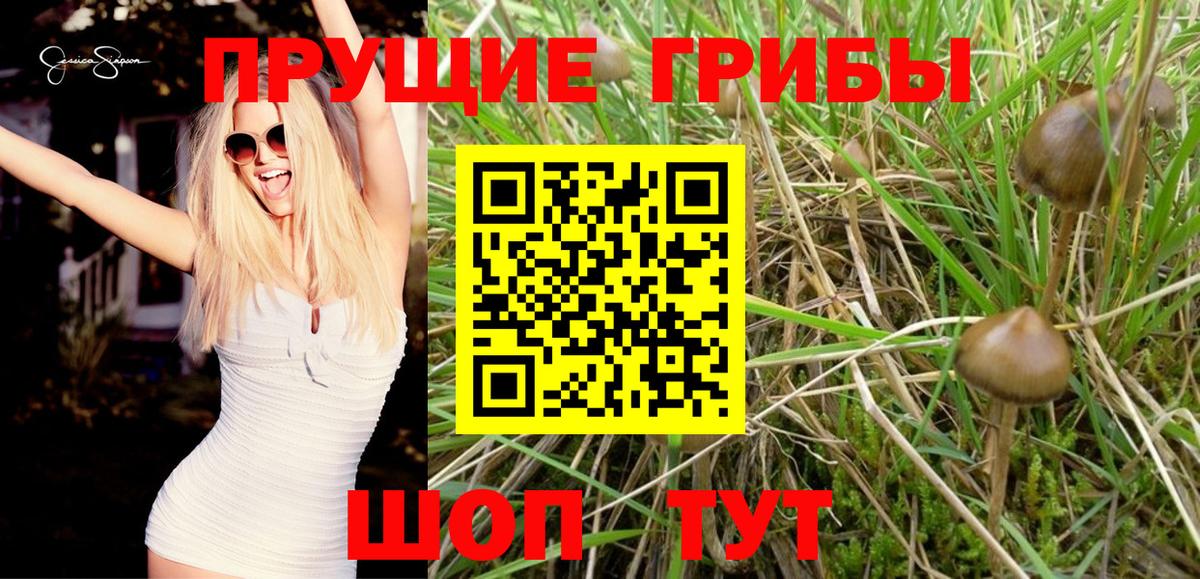 Галлюциногенные грибы MAGIC MUSHROOMS  Галлюциногенные грибы прущие грибы  Вход с VPN  Мелеуз 